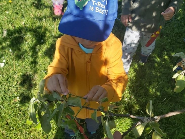 Starptautiskā bērnu aisardzības diena